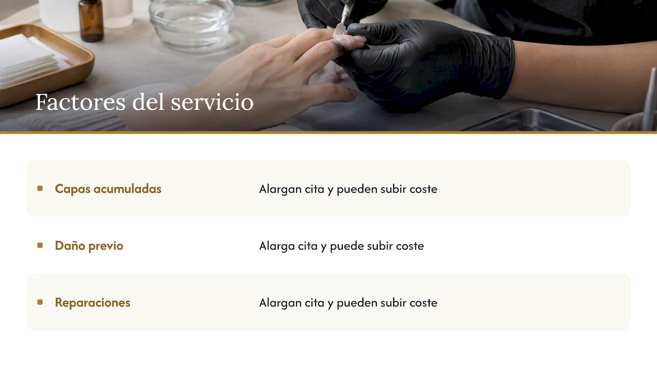 Duración y coste estimado del servicio — overview diagram