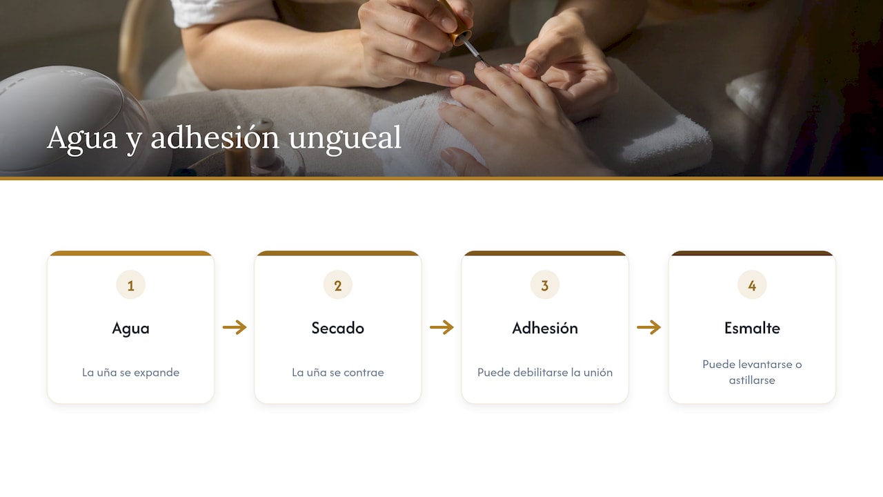 La uña seca y el gel — overview diagram